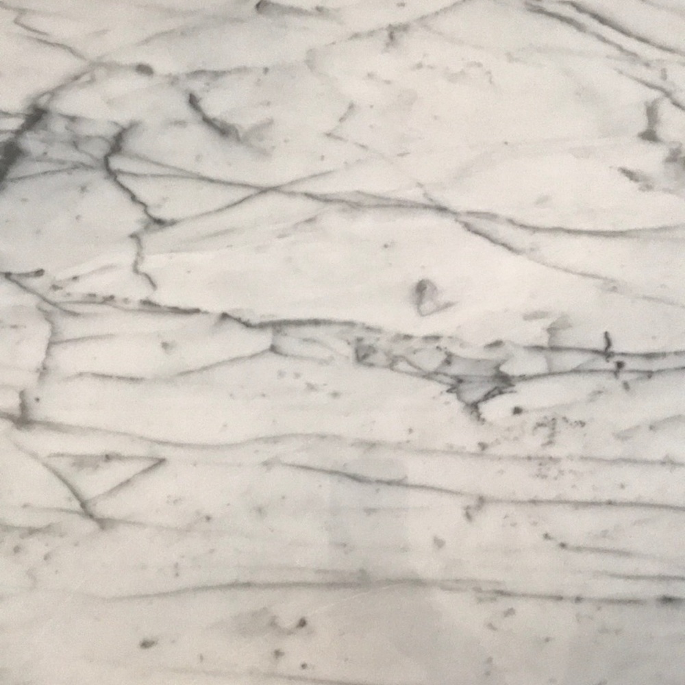 Meet your Posher, Lily